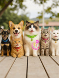 Breakaway Collar for Cats and Small Animals